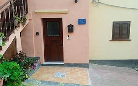Alla cattedrale home